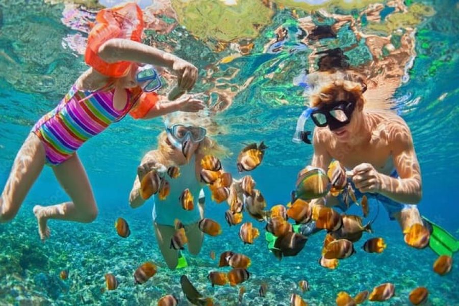 snorkeling