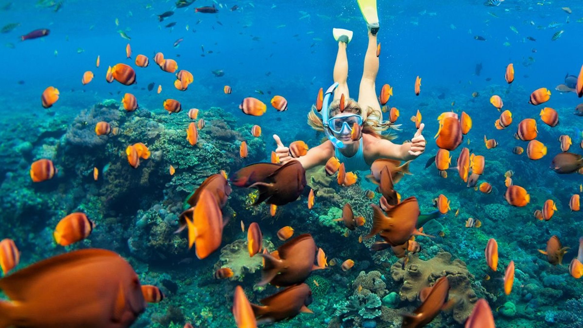 snorkeling