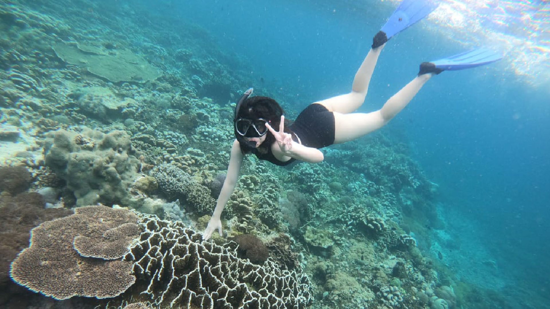 Snorkeling 2